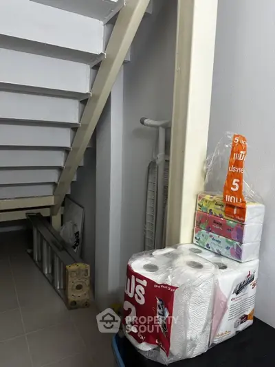 Under-stair storage area with household items and ladder