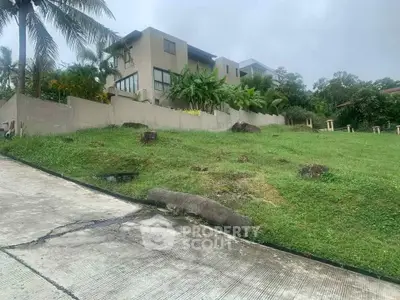 Modern hillside home with lush greenery and palm trees