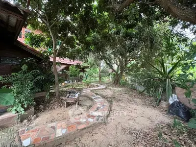 Charming garden pathway surrounded by lush greenery and mature trees, perfect for tranquil outdoor living.