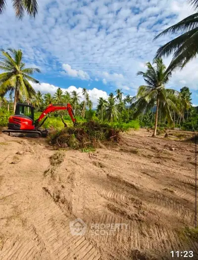 Tropical land development site with palm trees and excavator under blue skies.