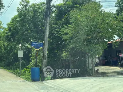 Charming residential street corner with lush greenery and a cozy home entrance.