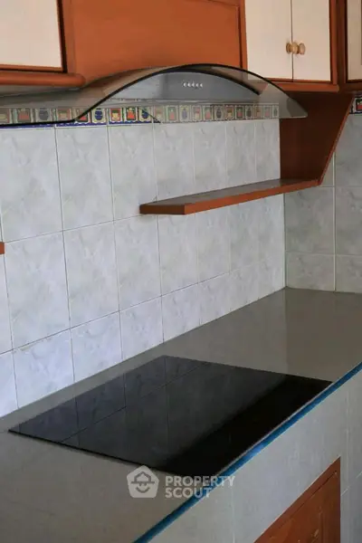 Modern kitchen with sleek electric cooktop and stylish backsplash