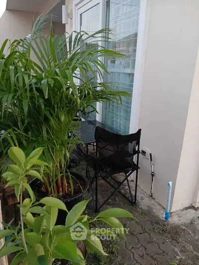 Charming small balcony with lush plants and cozy seating area.