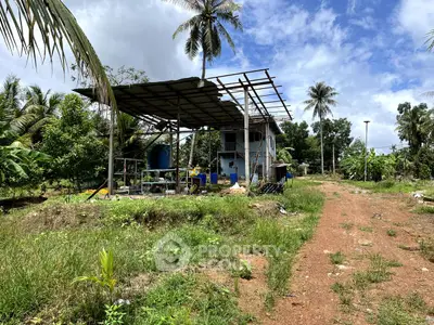 Rustic rural property with lush greenery and palm trees, ideal for nature lovers.