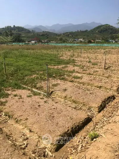 Scenic land plot with mountain views, ideal for development or agriculture.