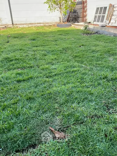 image_rental-29053757