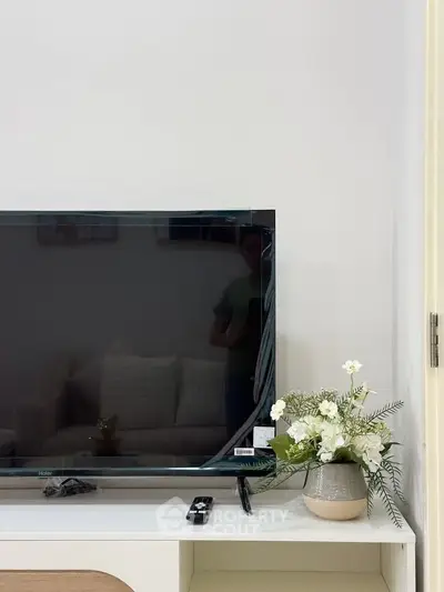 Modern living room with sleek TV and stylish decor