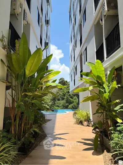 image_rental-30797431