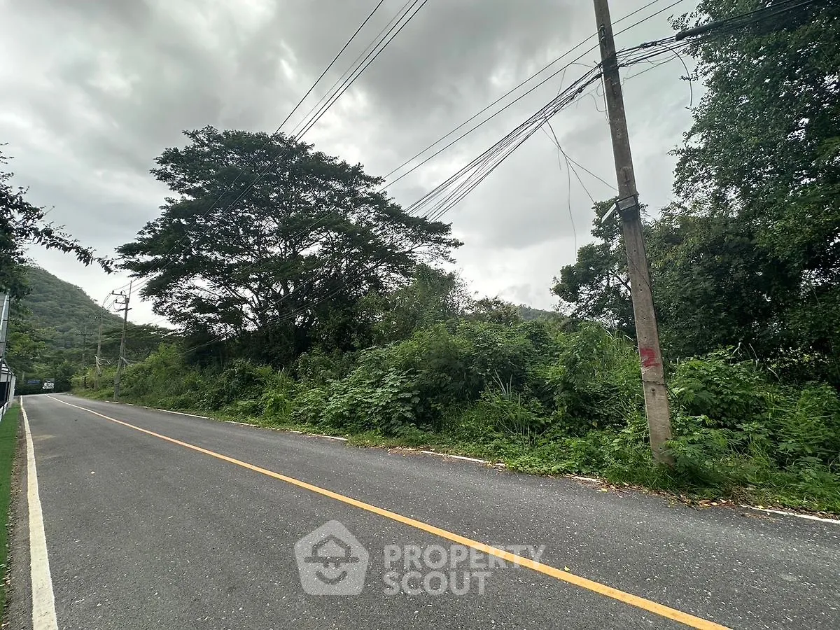 Scenic road view with lush greenery and towering trees, perfect for nature lovers seeking tranquility.