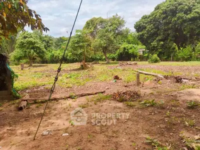 Spacious vacant land with lush greenery, perfect for development or agriculture.