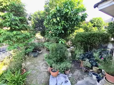 Charming garden oasis with lush greenery and potted plants in a serene backyard setting.