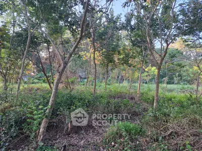 Lush green land with trees, perfect for development or investment opportunities.