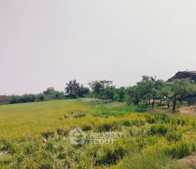 Screenshot 2026-04-14 163340.png