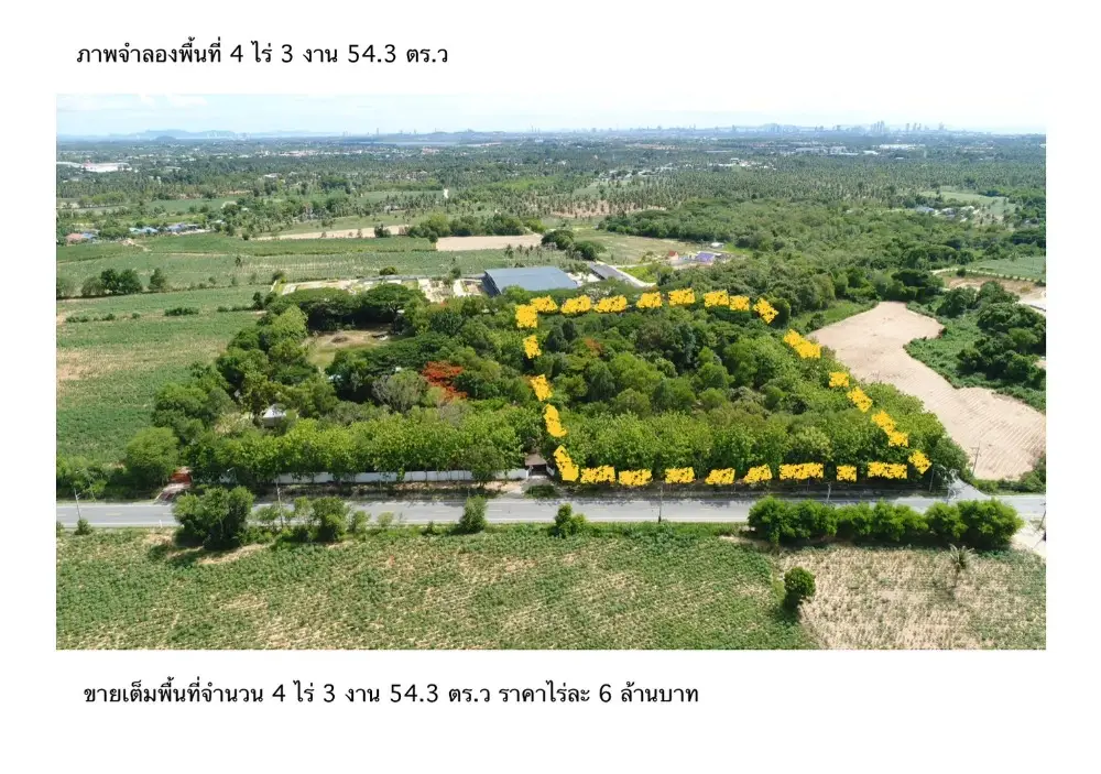 Expansive land plot for sale with lush greenery and clear boundaries, ideal for development.