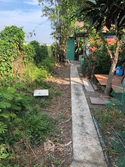 Charming garden pathway leading to a cozy outdoor retreat, surrounded by lush greenery.