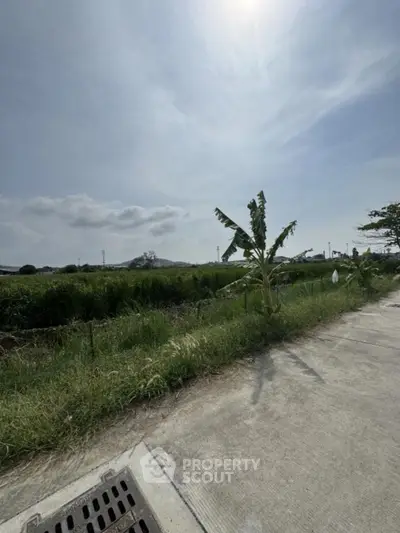 Scenic view of lush green fields under a clear blue sky, perfect for real estate development.