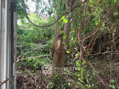 Lush garden area with dense greenery and mature trees, perfect for nature lovers.