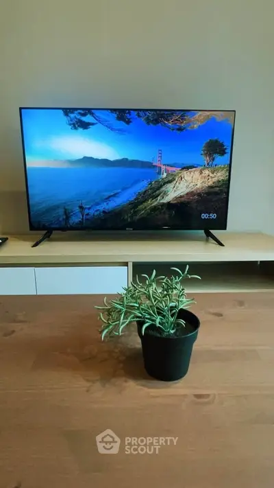 Modern living room with sleek TV and stylish decor plant on wooden table.