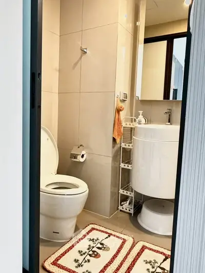 Compact modern bathroom with sleek fixtures and cozy decor