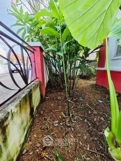 Charming garden area with lush greenery and vibrant red wall accents.