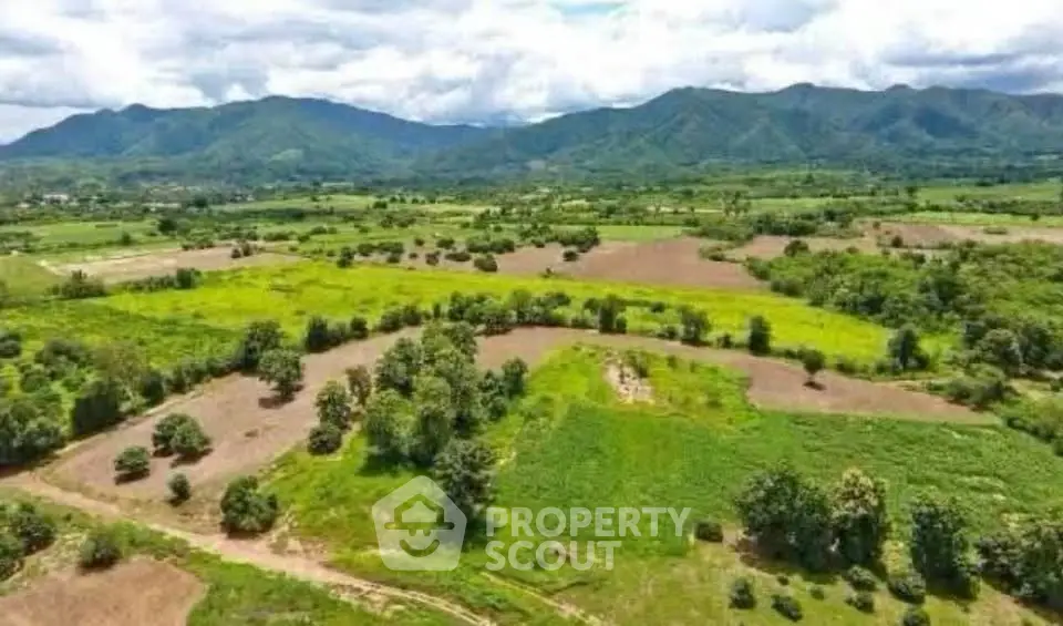 Expansive rural land with lush greenery and mountain views, perfect for development or agriculture.