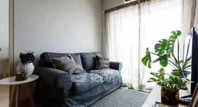 Cozy living room with stylish sofa and lush indoor plants