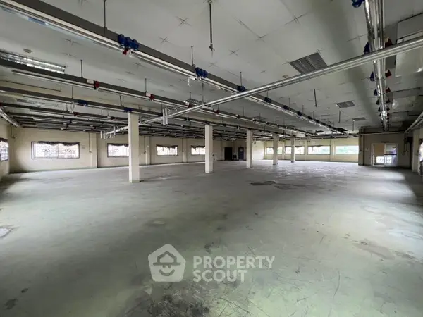 image_rental-23585275