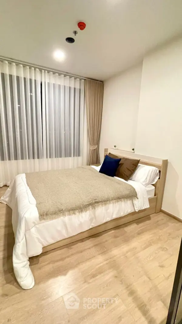 image_rental-29251326