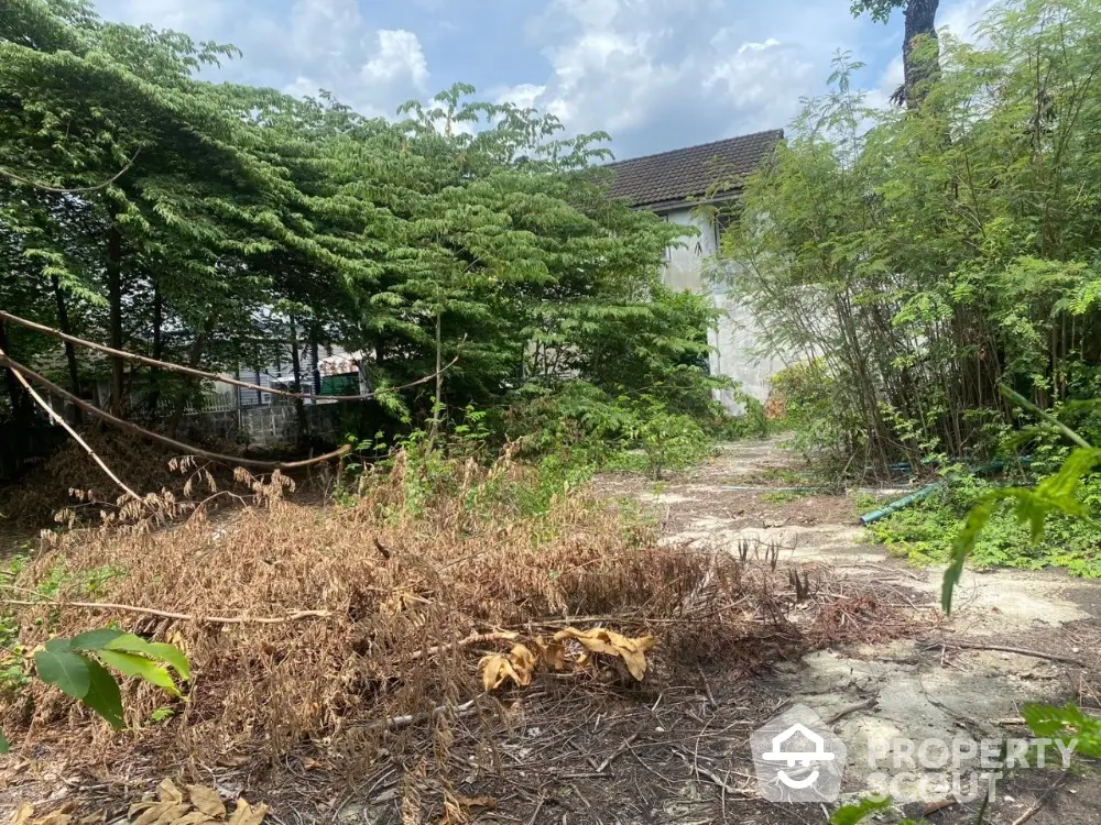 Overgrown garden leading to a secluded white house, offering potential for a lush landscape and private living space.