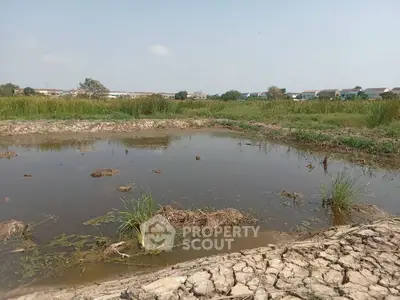 Expansive land with potential for development, featuring a natural pond and lush surroundings.