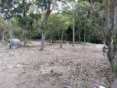 1146242.3.jpg
