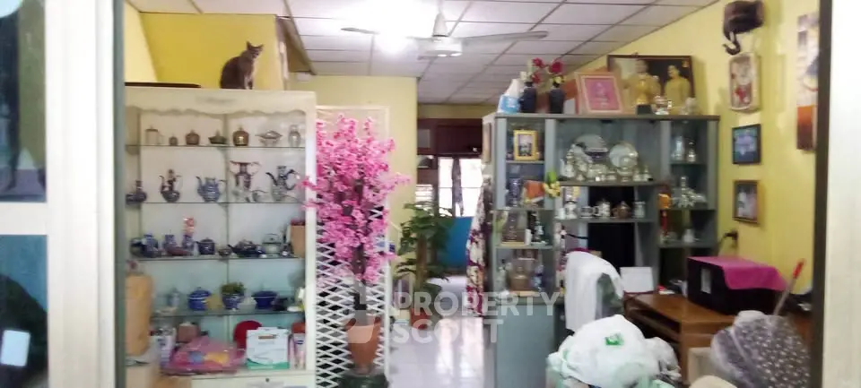 Charming living room with eclectic decor and vibrant colors, featuring display cabinets and a cozy atmosphere.