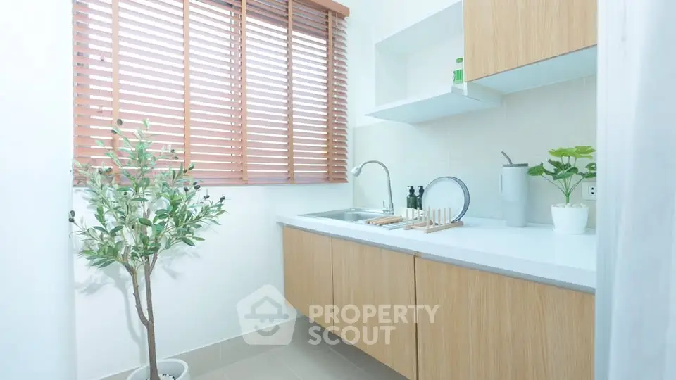 Modern kitchen with wooden cabinets and indoor plants, featuring a minimalist design.