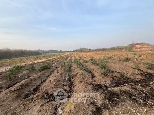 image_rental-31523306