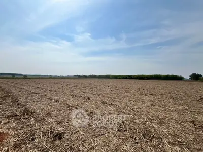 image_rental-31575773