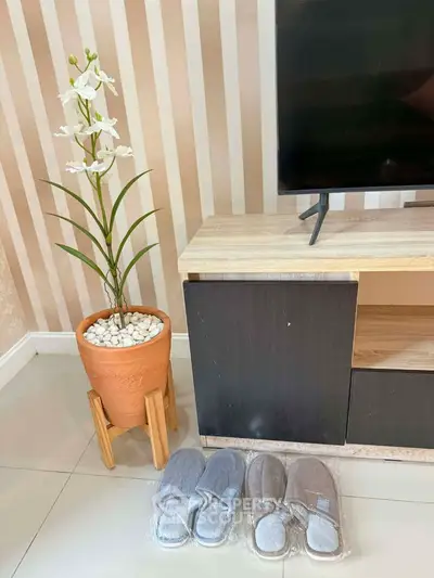 Modern living room with stylish TV stand, potted plant, and cozy slippers on tiled floor.