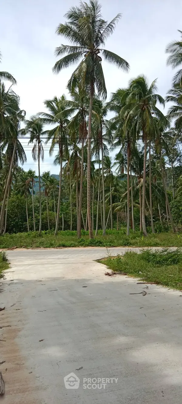 image_rental-13911093