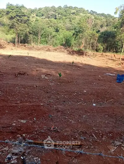 Expansive plot of land with lush greenery, ideal for development or investment opportunities.