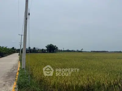 Expansive agricultural land with lush greenery and clear skies, perfect for development opportunities.