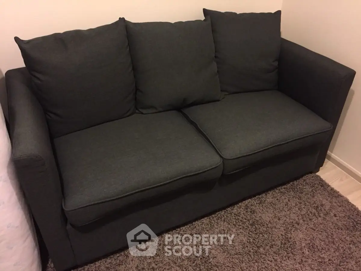 Cozy dark gray sofa in a modern living room setting, perfect for relaxation and comfort.