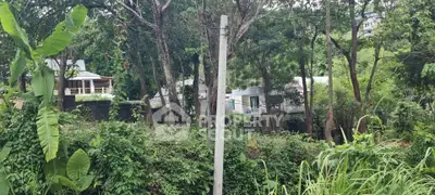 Scenic view of lush greenery surrounding modern homes in a serene neighborhood.