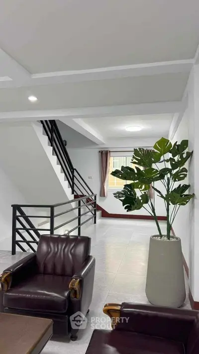 Modern living room with stylish leather chairs and indoor plant near staircase