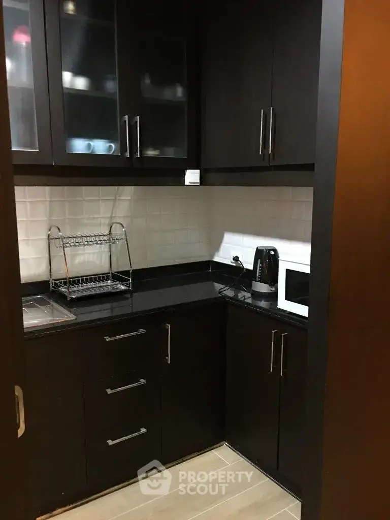 Modern kitchen with dark cabinets and sleek appliances in a compact layout.