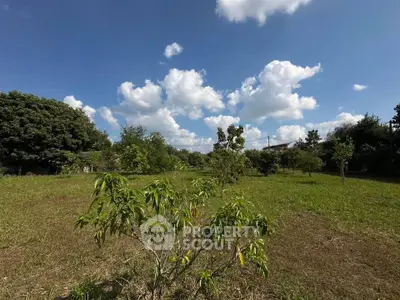 Expansive green land with lush trees under a bright blue sky, perfect for development or agriculture.