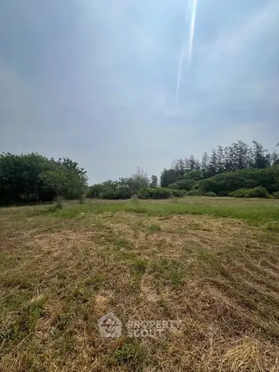 Expansive open land with lush greenery and clear skies, perfect for development opportunities.