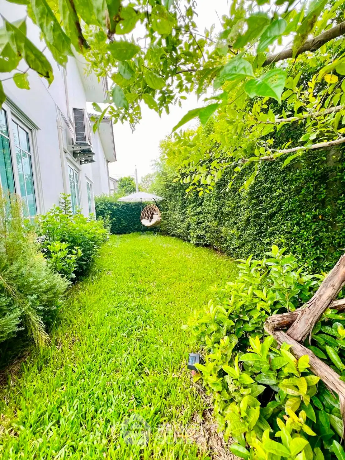 Charming garden view with lush greenery and cozy swing chair, perfect for relaxation and outdoor enjoyment.