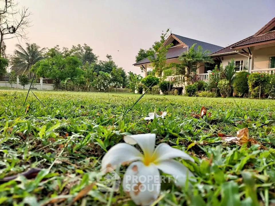 Charming countryside home with lush garden and serene surroundings, perfect for nature lovers seeking tranquility.