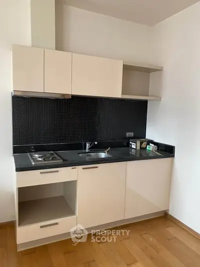 Modern compact kitchen with sleek cabinetry and black backsplash