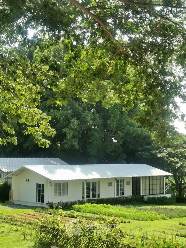 Charming white house surrounded by lush greenery and mature trees, offering serene living in a natural setting.