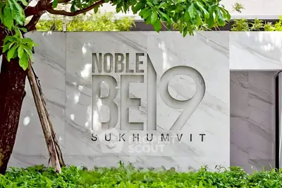 image_rental-31558529